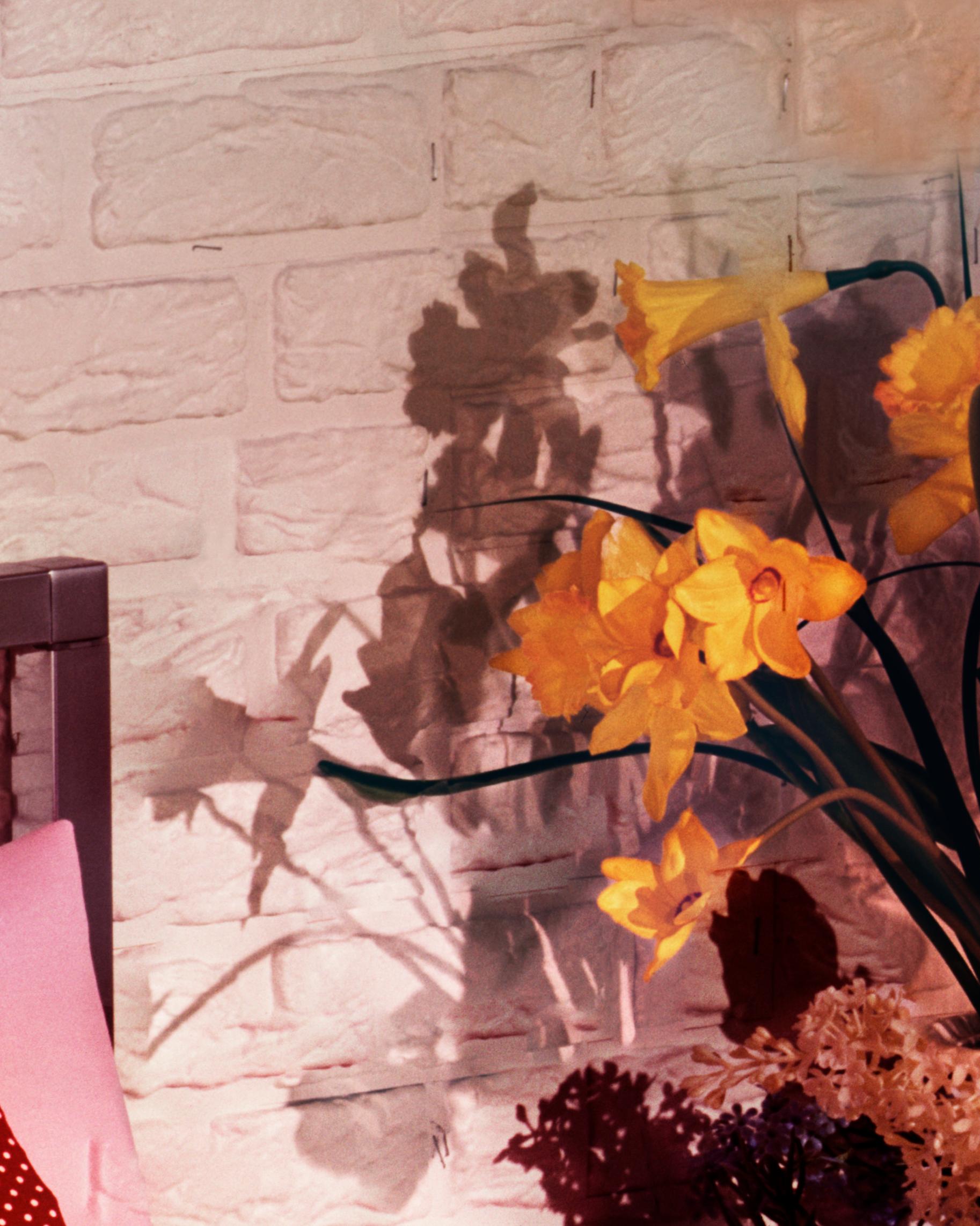 Dwelling #12, 2019; Contemporary Color Photography; Bedroom; 40 x 50 Inches For Sale 2