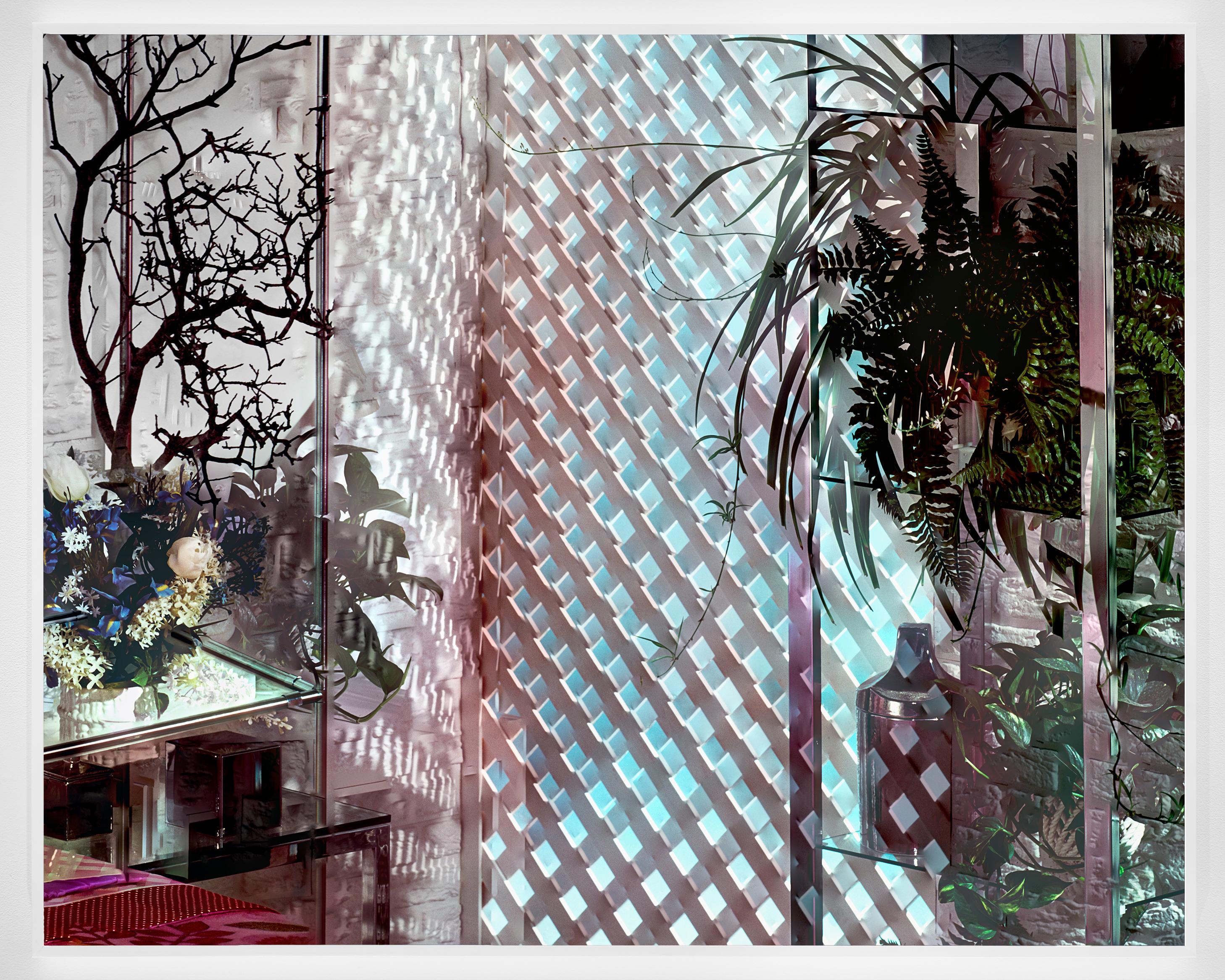 Dwelling #9, 2019; Contemporary Color Photography; Flowers; 40 x 50 Inches  For Sale 1