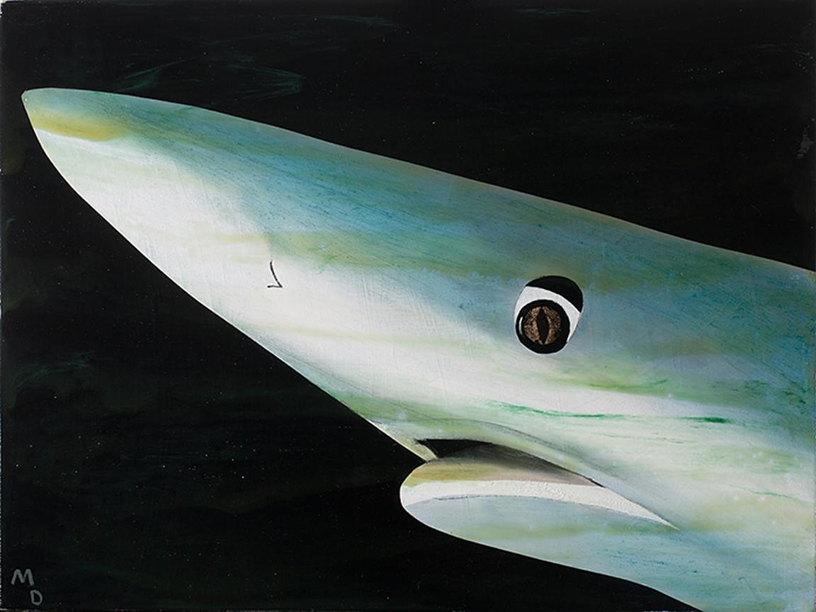 Matthew Dennison Animal Painting - BLUE SHARK