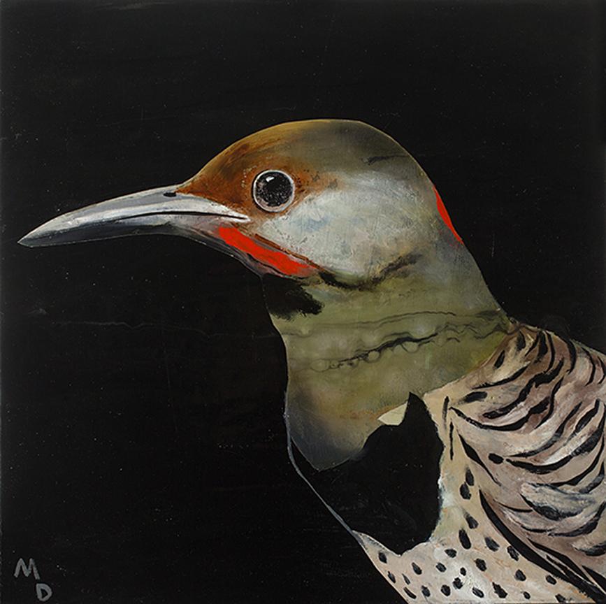 Matthew Dennison Animal Painting - THE FLICKER - oil painting of bird