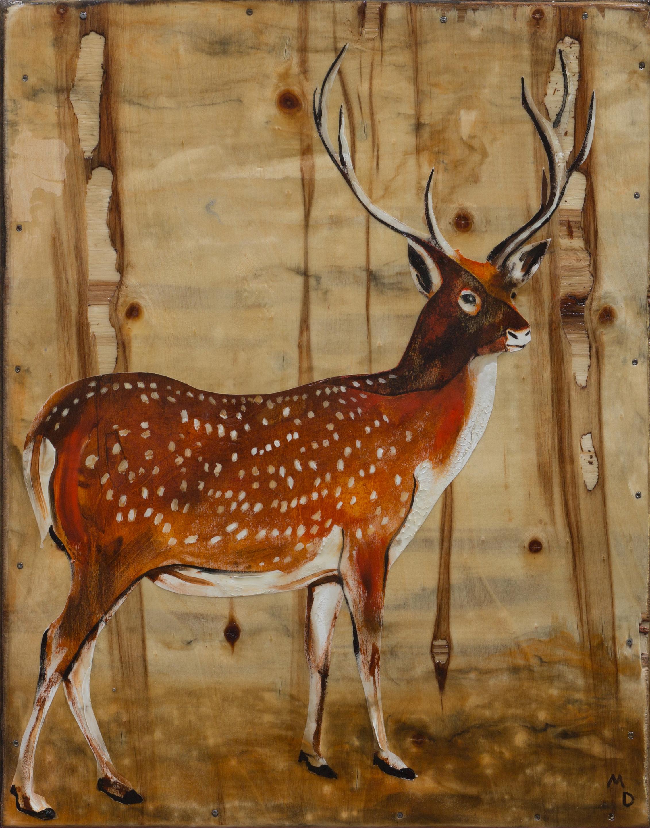 Matthew Dennison Animal Painting - THE STAG - oil painting of a deer (buck) with spots