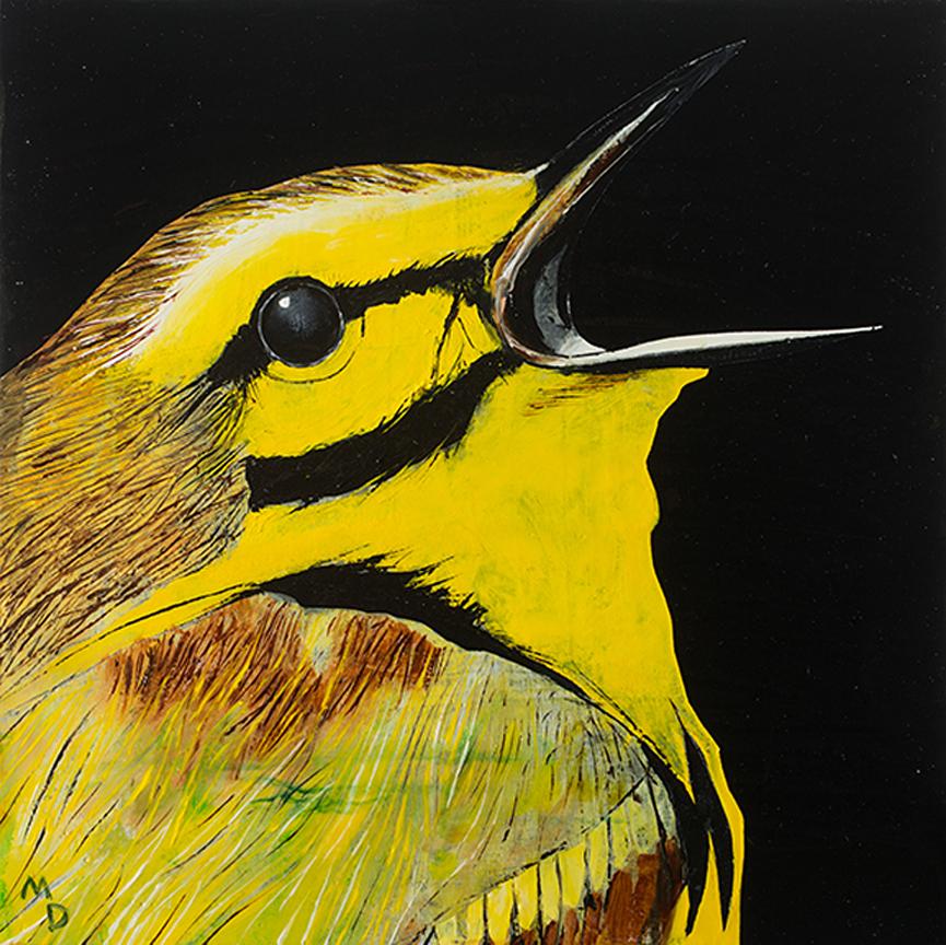 Matthew Dennison Animal Painting - YELLOW WARBLER - oil painting of bird