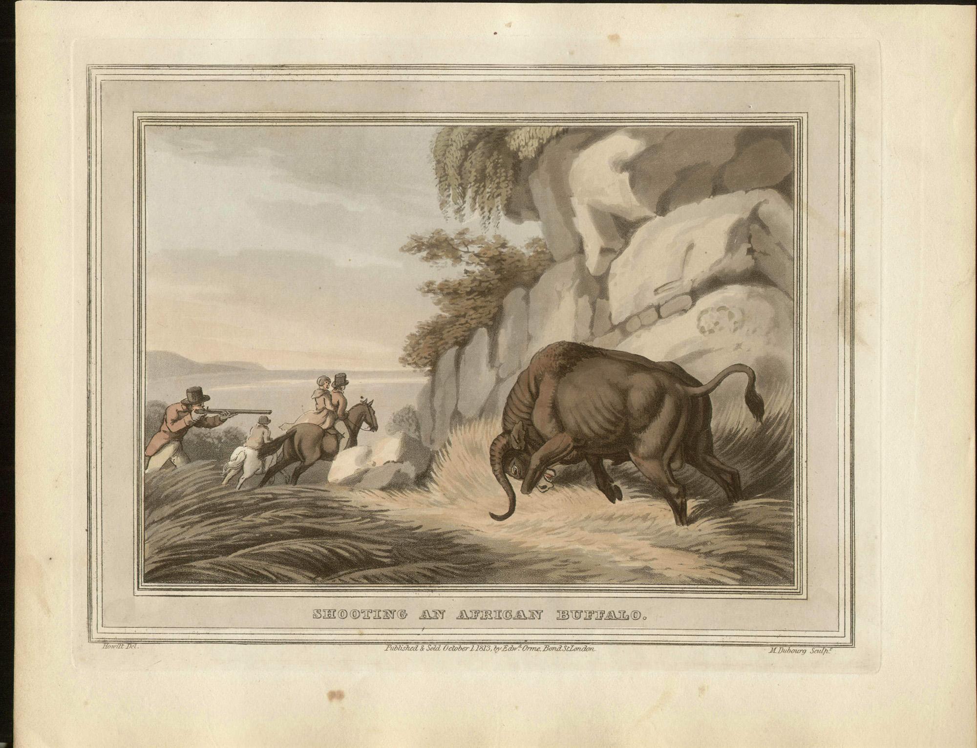 Shooting an African Buffalo, Aquatinta-Gravur- Jagddruck mit Jagdmotiv, 1813 – Print von Matthew Dubourg 