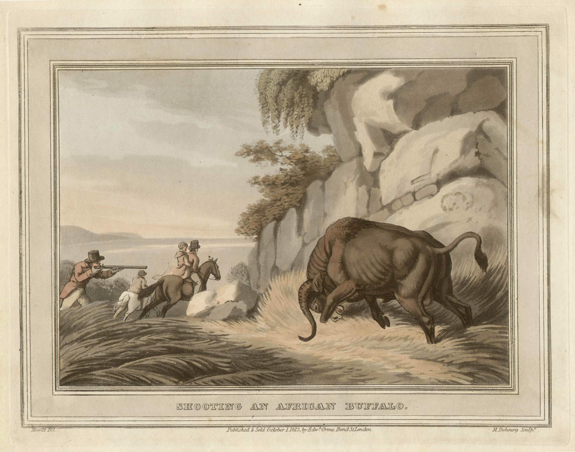 Disparando a un búfalo africano, grabado al aguatinta estampa de caza, 1813