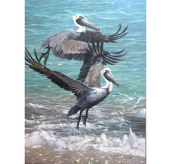 Pélicans bruns peinture à l'huile, encadrée, 21e siècle, 48x36 pouces