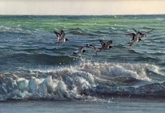 Huîtriers en vol - Peinture à l'huile réaliste, signée, 22.5x29"