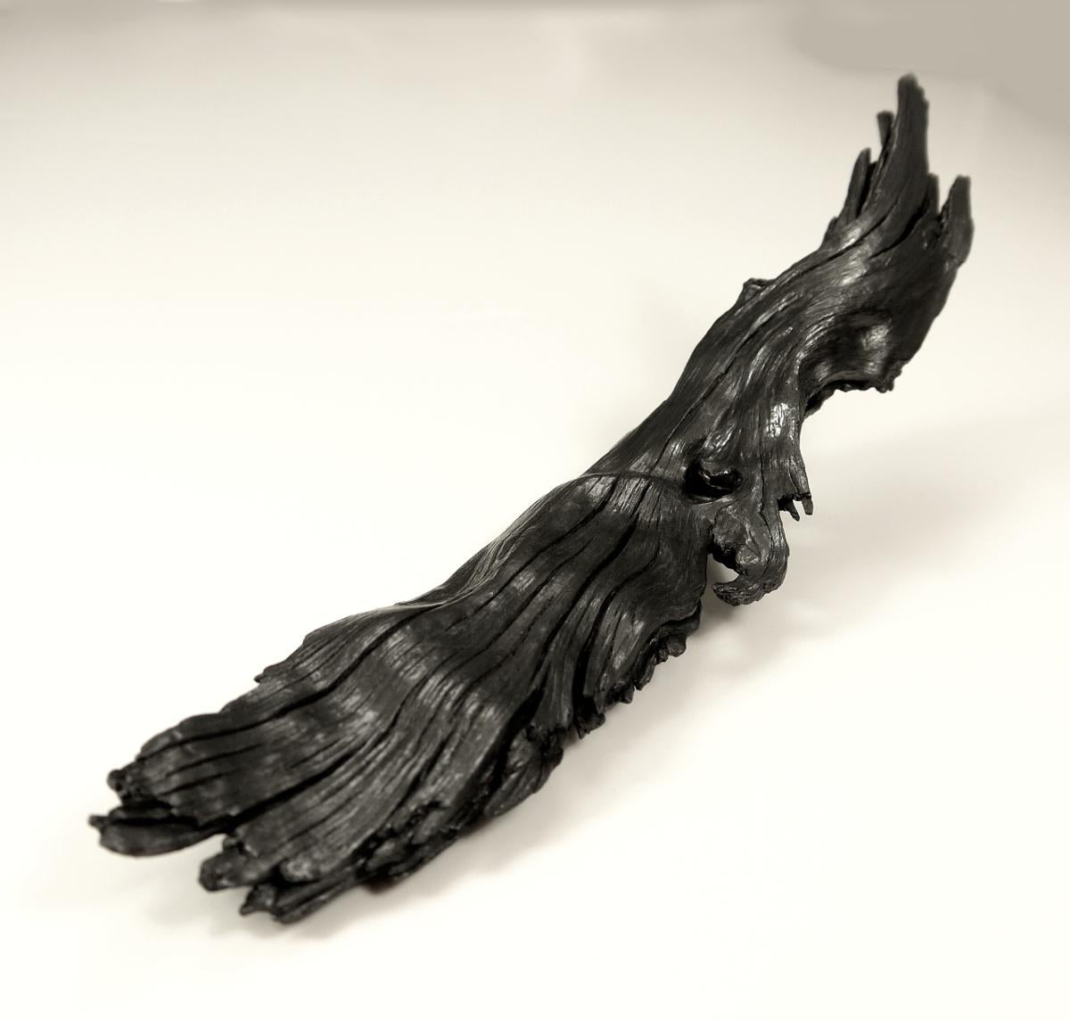 Wing - Sculpture by Matthew Mullins