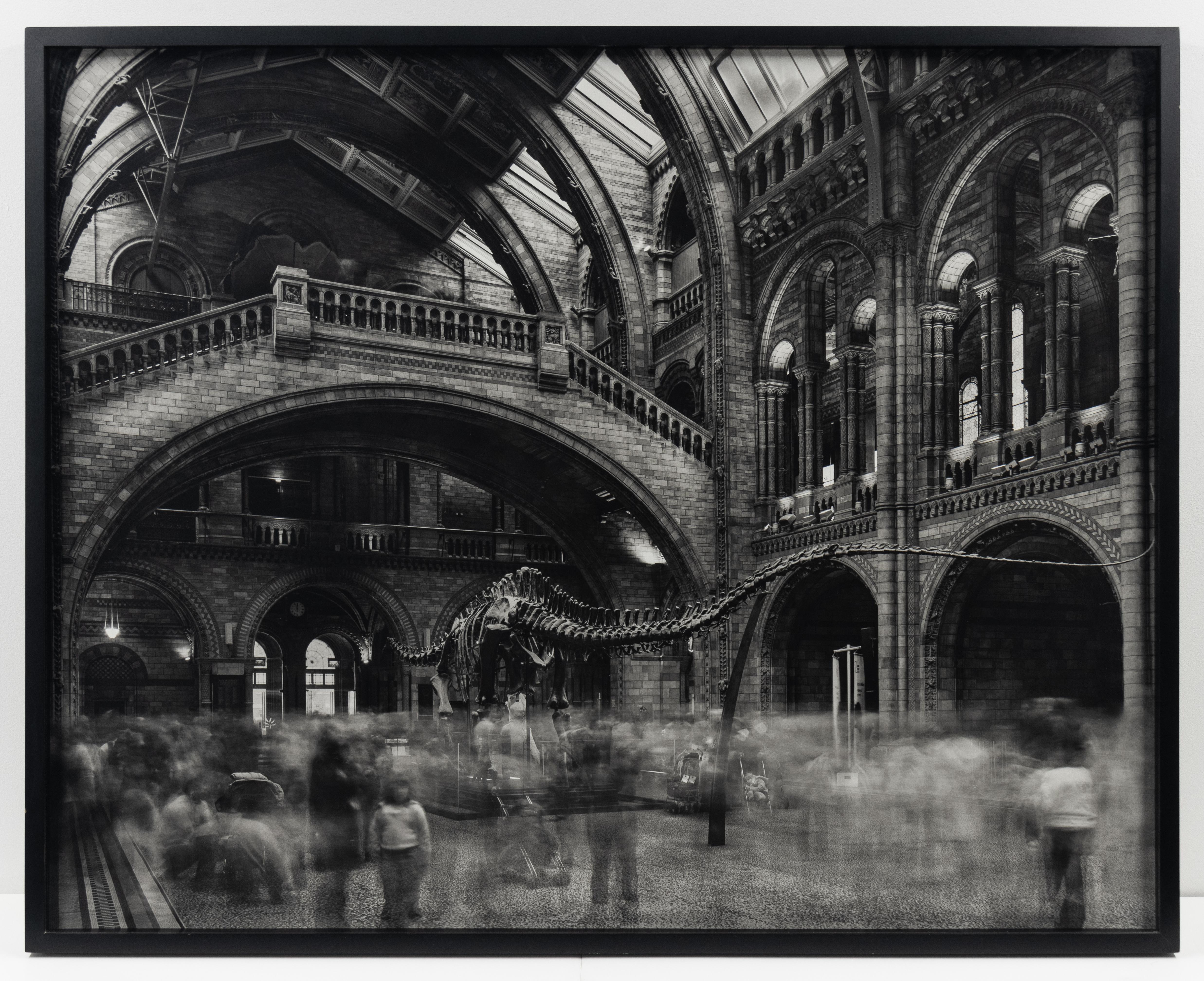 Wyoming Diplodocus, Museo di Storia Naturale, Londra, Fotografia di paesaggio - Photograph Contemporaneo di Matthew Pillsbury