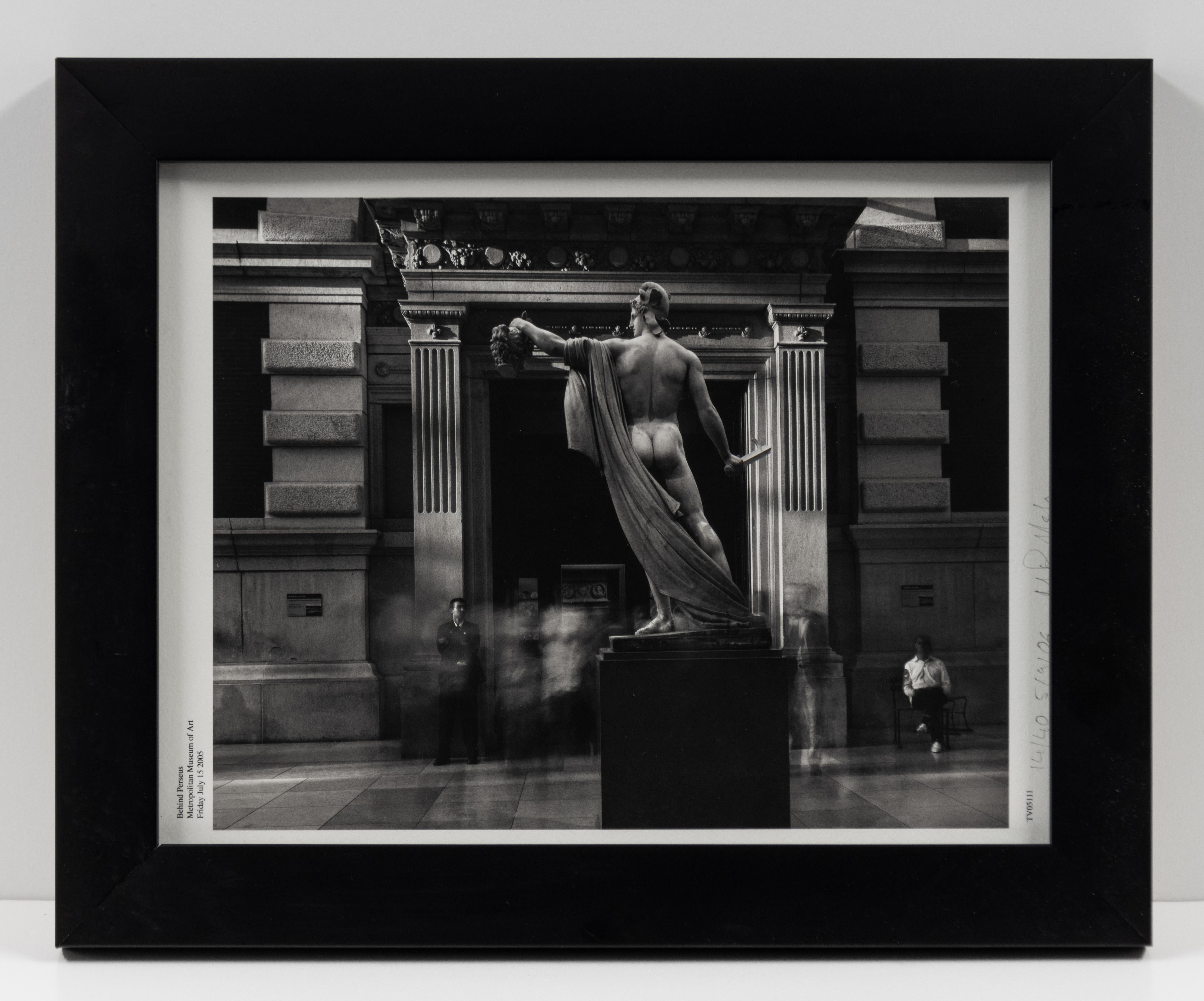 Wyoming Diplodocus, Natural History Museum, Londres, photographie contemporaine - Photograph de Matthew Pillsbury