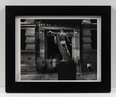 Wyoming Diplodocus, Natural History Museum, London, Contemporary Photography