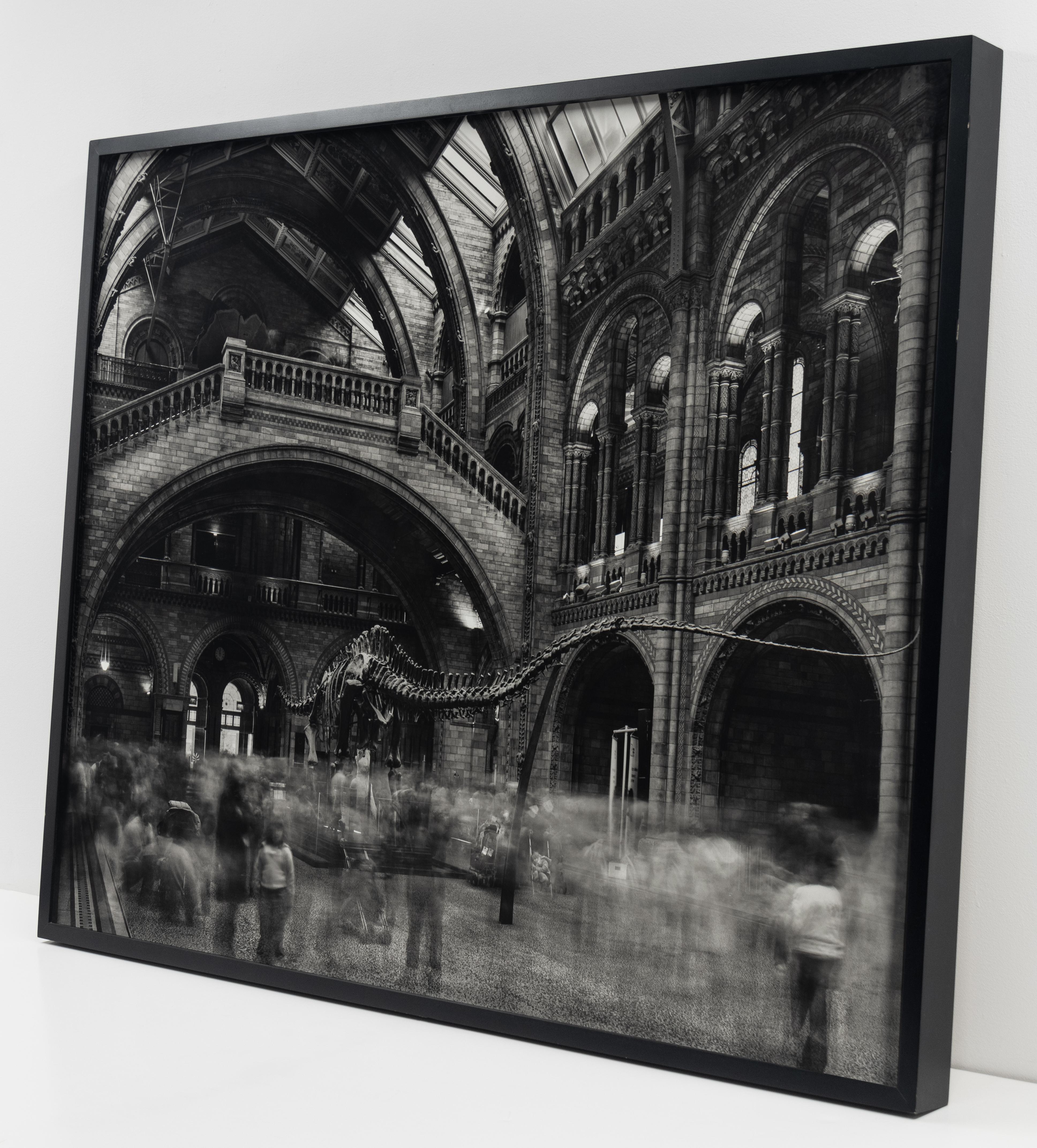 Una fotografia di paesaggio contemporaneo del Diplodocus del Wyoming, Museo di Storia Naturale, Londra, di Matthew Pillsbury.

2007

Firmato e numerato, al verso

Stampa a pigmenti d'archivio (Edizione di 10)

30 x 40 pollici (76,2 x 101,6 cm)
