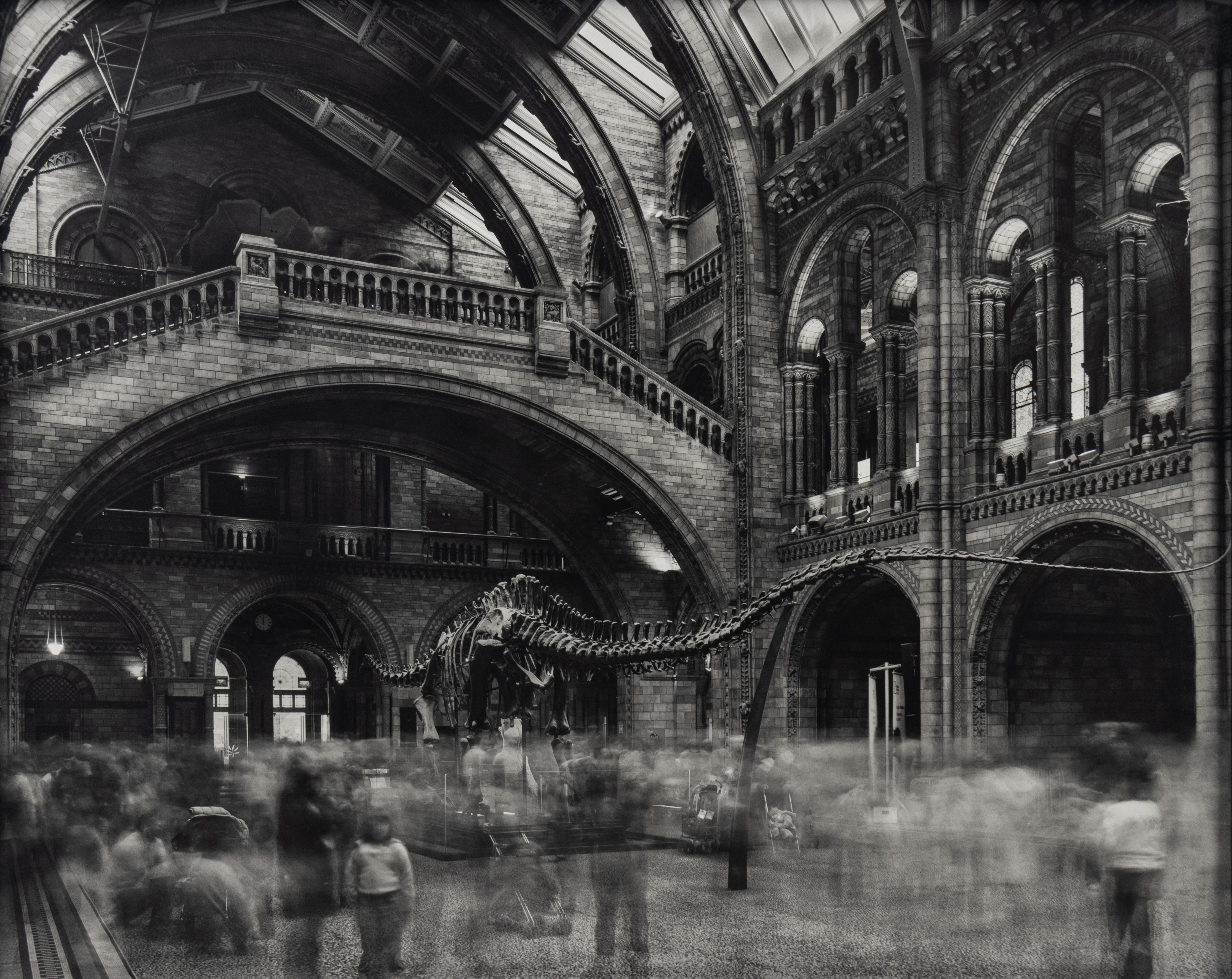 Landscape Photograph Matthew Pillsbury - Wyoming Diplodocus, Natural History Museum, Londres, photographie contemporaine