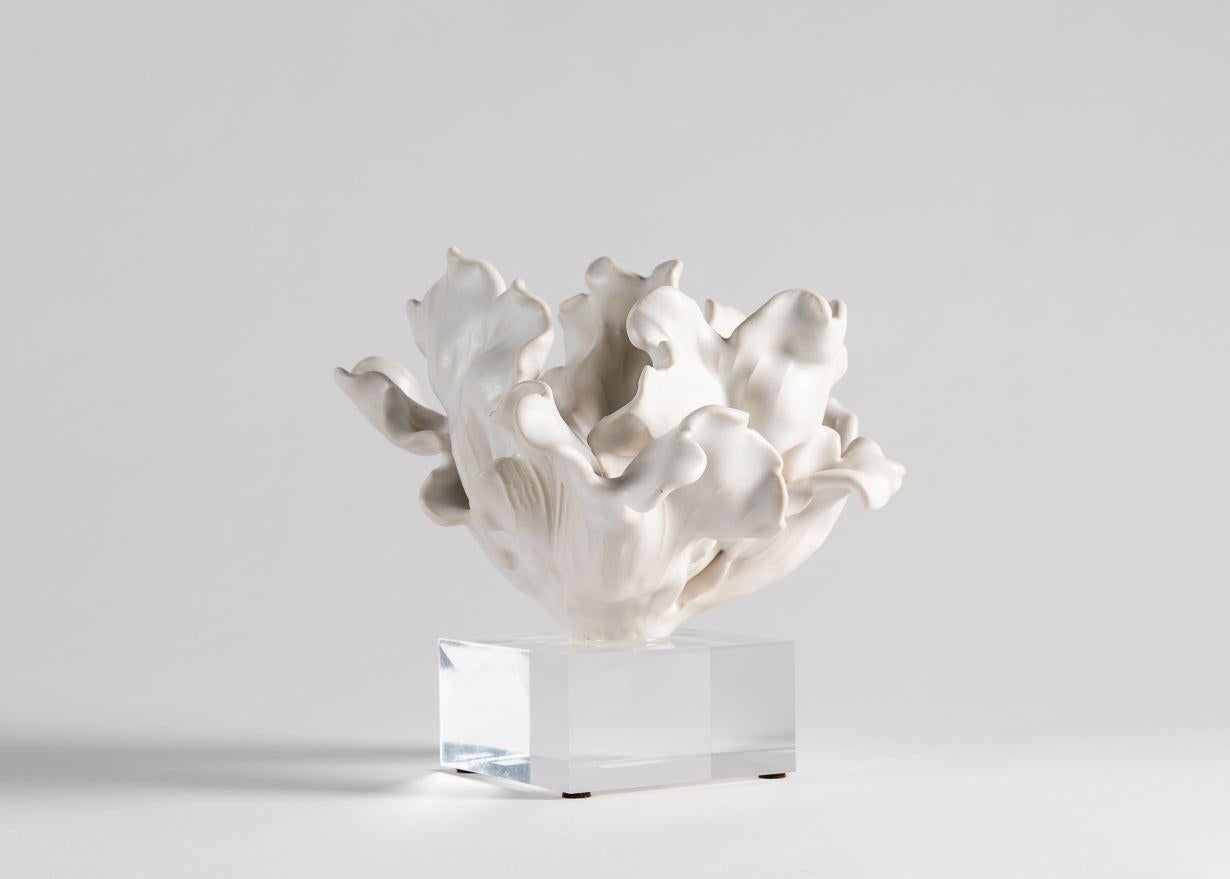 Using fine white porcelain and glazes, which he crafts himself, Matthew Solomon creates sculptures of beauty, with an element of the unexpected. Repetition of form and color creates order within the chaotic floral camouflage.