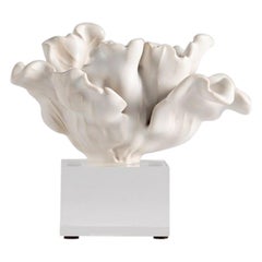 Sculpture de tulipe sur socle en lucite, Matthew Solomon, États-Unis, 2019