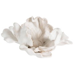 Matthew Solomon, Tulip, United States, 2014