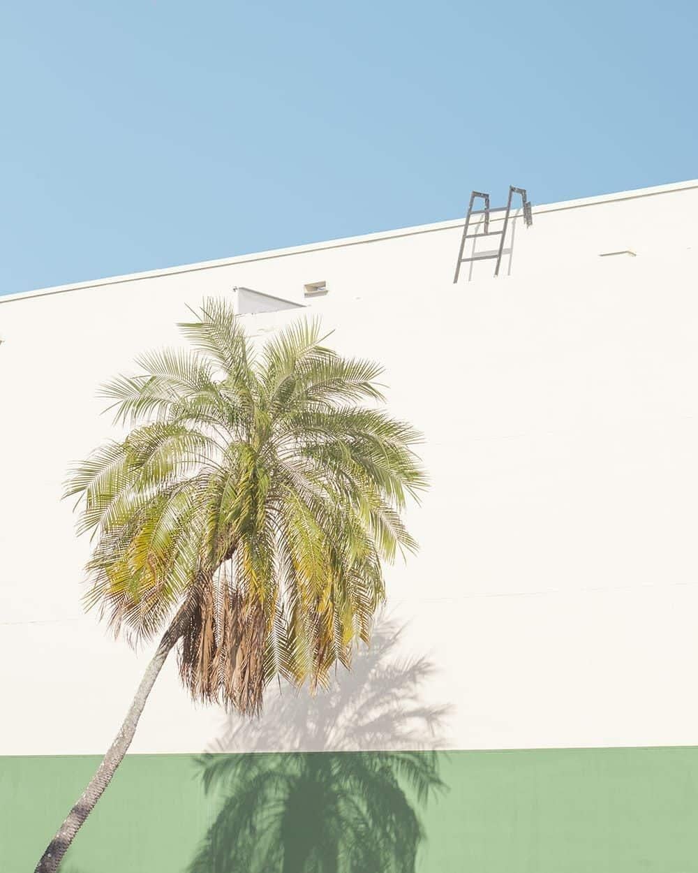 DIALOGUE 09 is a work by contemporary French photographer Matthieu Venot. In this series, he roams the city of Miami looking for deco architecture. With his camera, he cuts up the urban landscape into images where the graphic aspect takes precedence