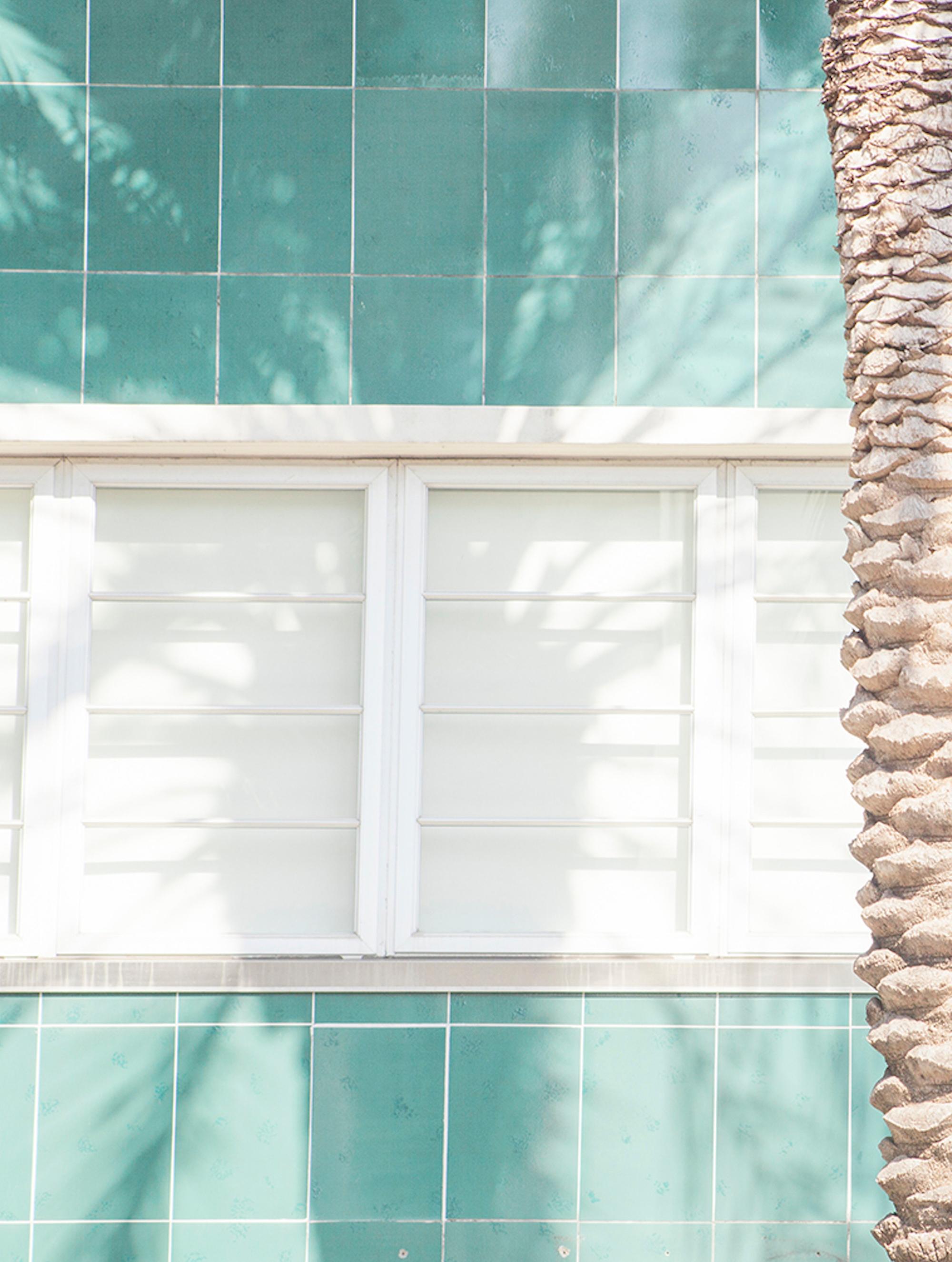 DIALOGO 14 de Matthieu Venot - Fotografía de arquitectura, enmarcada, palma, azul en venta 3