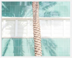 DIALOGUE 14 de Matthieu Venot - Photographie d
architecture, encadrée, palmier, bleu