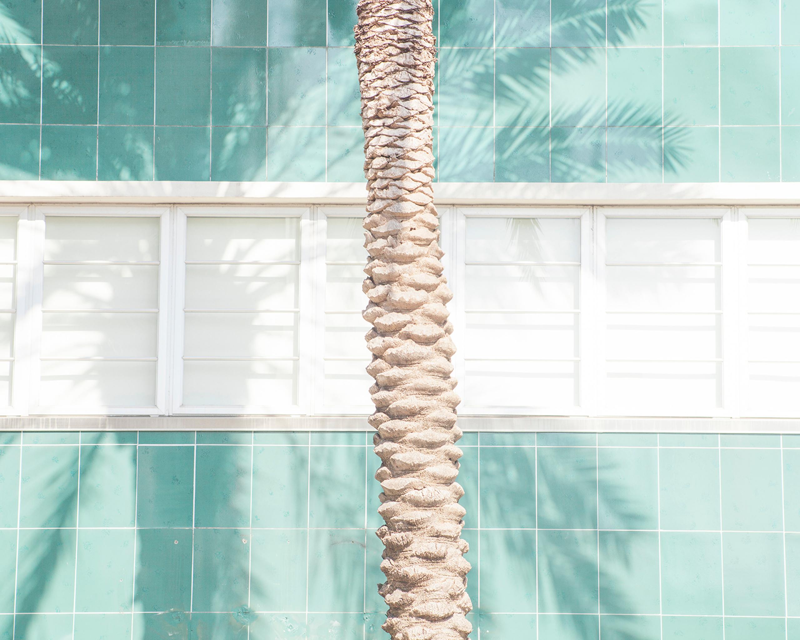 DIALOGUE 14 by Matthieu Venot - Photography, pastel colours, blue, palm tree
