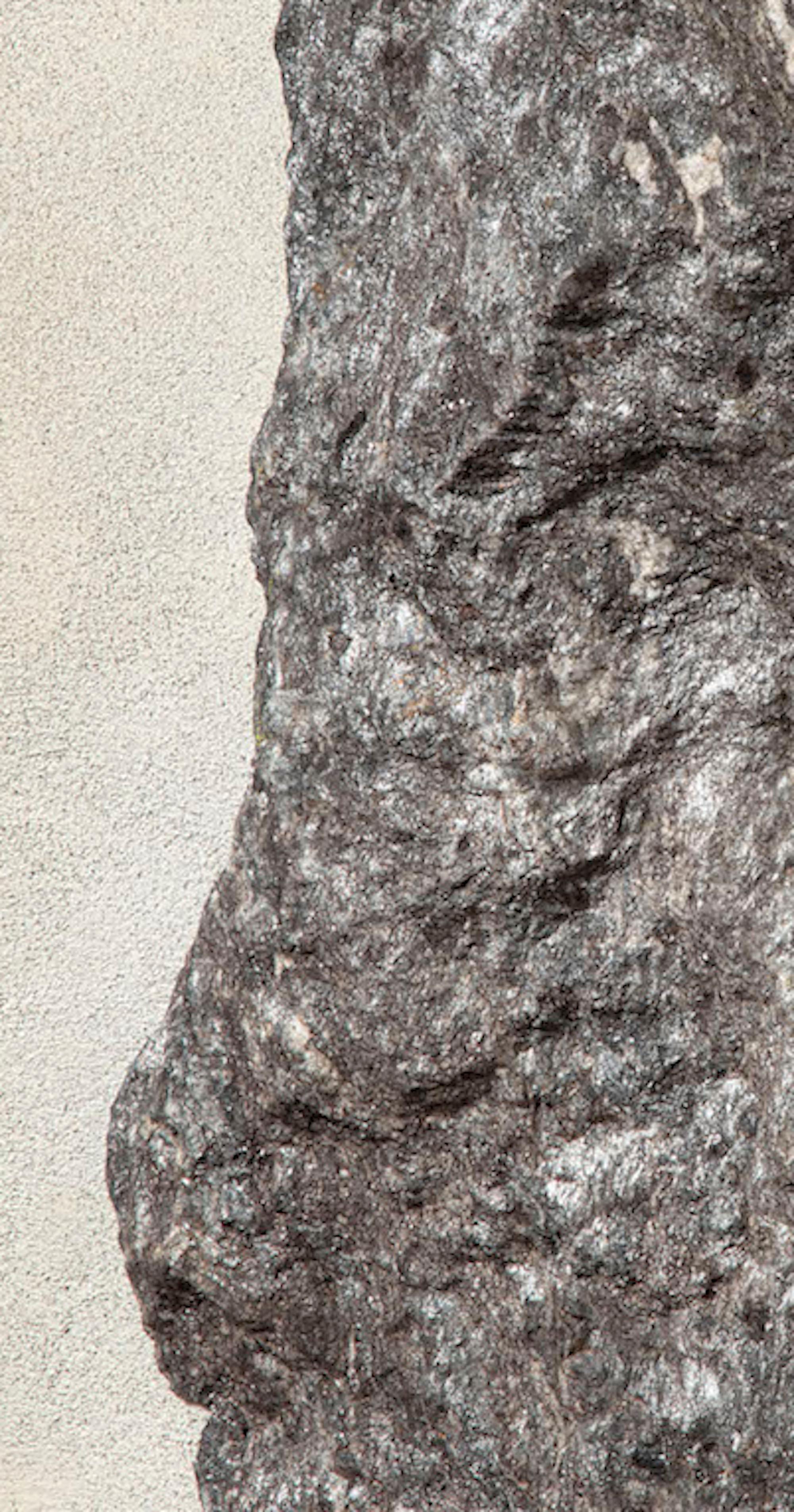 Sezione Aurea 2024-006 by Mattia Bosco - Wall sculpture, marble, gold leaf, rock For Sale 4