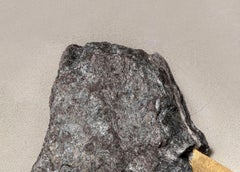 Sezione Aurea 2024-007 di Mattia Bosco - Scultura da parete, marmo, foglia d'oro, roccia