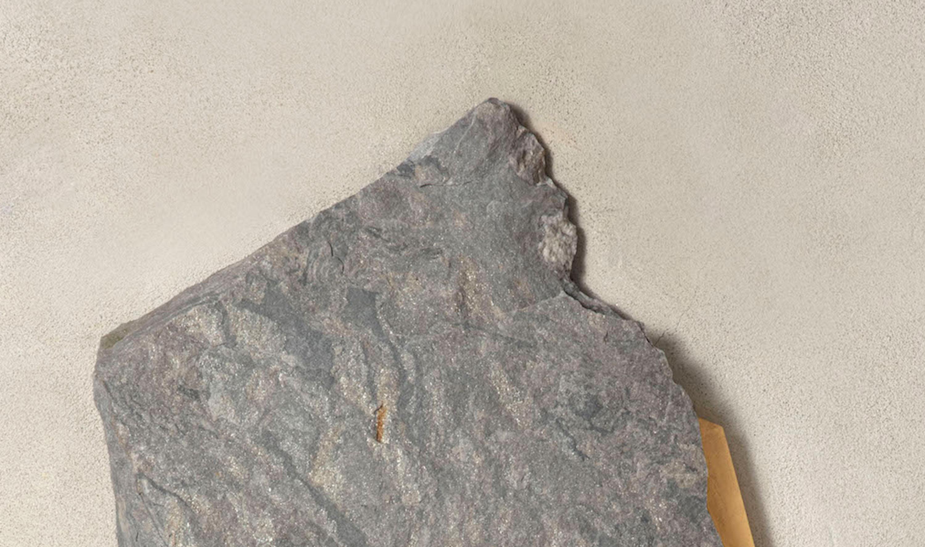 Sculpture murale Sezione Aurea 2024-014 de Mattia Bosco en vente 2