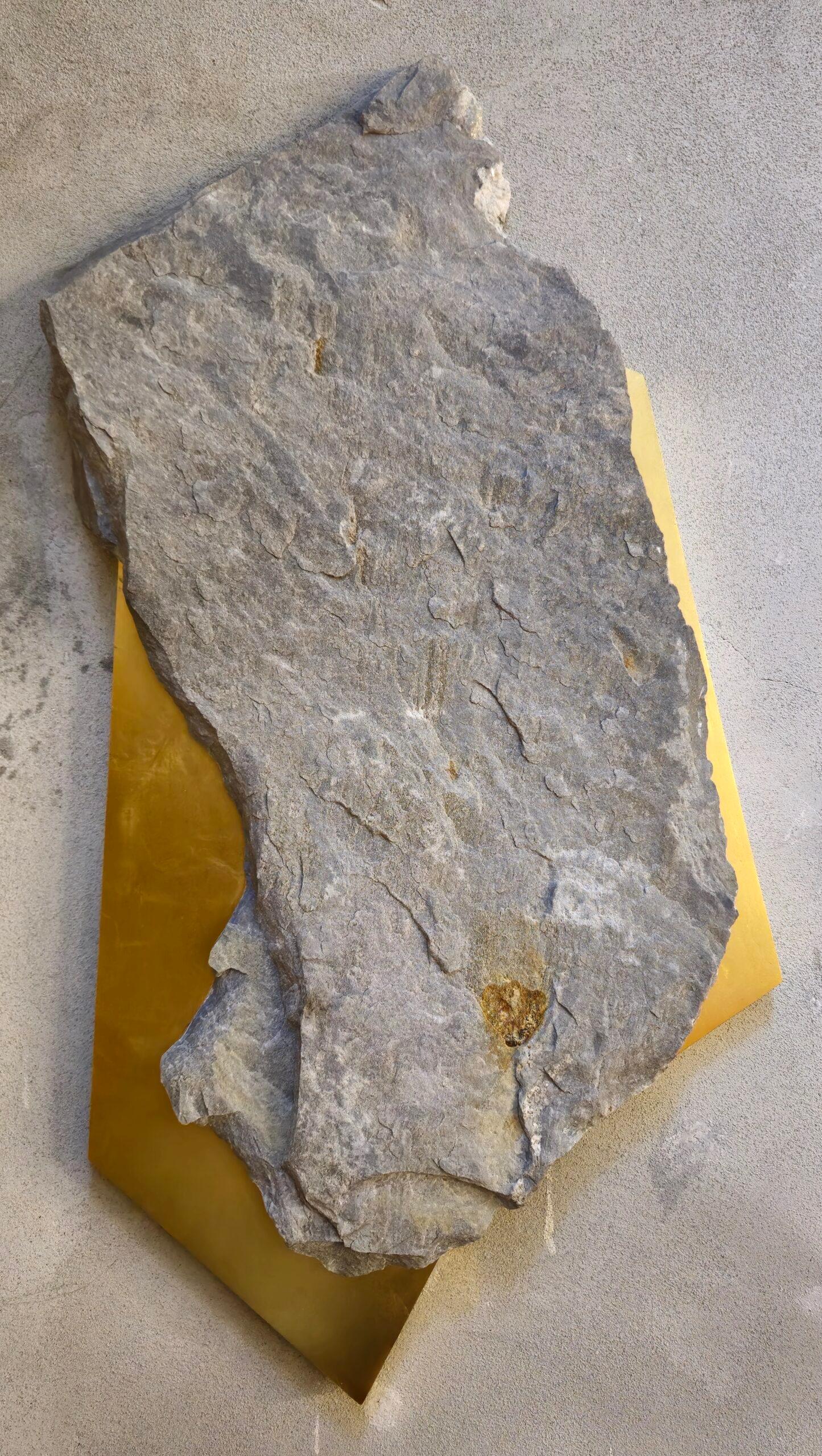 Sculpture murale Sezione Aurea 2024-014 de Mattia Bosco en vente 6