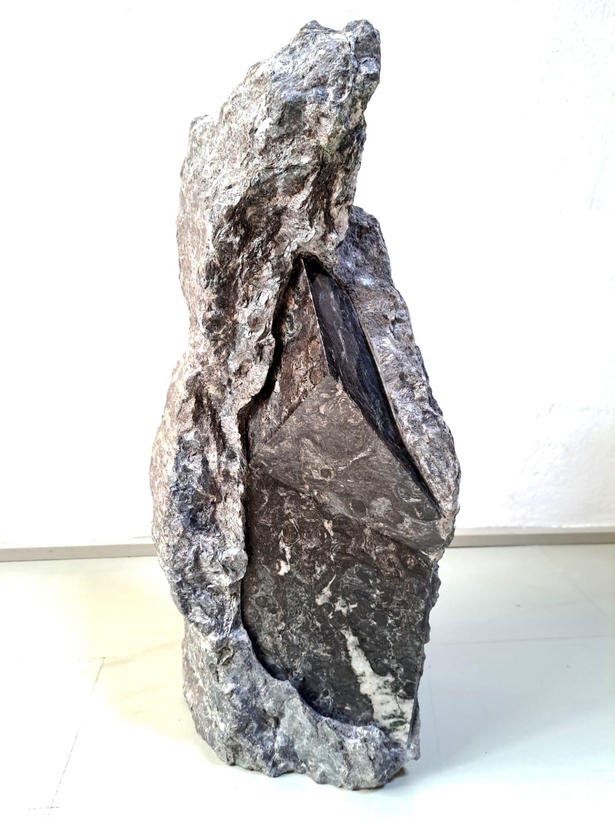 SW25 ist eine einzigartige Skulptur des zeitgenössischen Künstlers Mattia Bosco. Diese Skulptur ist aus Palissandro-Marmor gefertigt und hat die Maße 60 × 25 × 20 cm (23,6 × 9,8 × 7,9 Zoll). 
Diese Skulptur ist ein Einzelstück und wird mit einem
