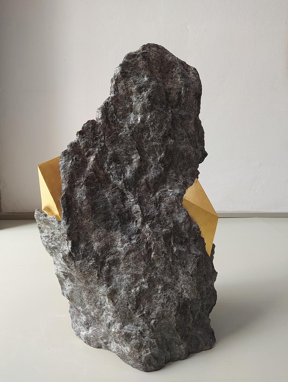 SW5 ist eine einzigartige Skulptur des zeitgenössischen Künstlers Mattia Bosco. Die Skulptur ist aus schwarzem Palissandro-Marmor und Blattgold gefertigt und hat die Maße 48,5 × 33 × 22 cm (19,1 × 13 × 8,7 in). 

Das vom Künstler angewandte