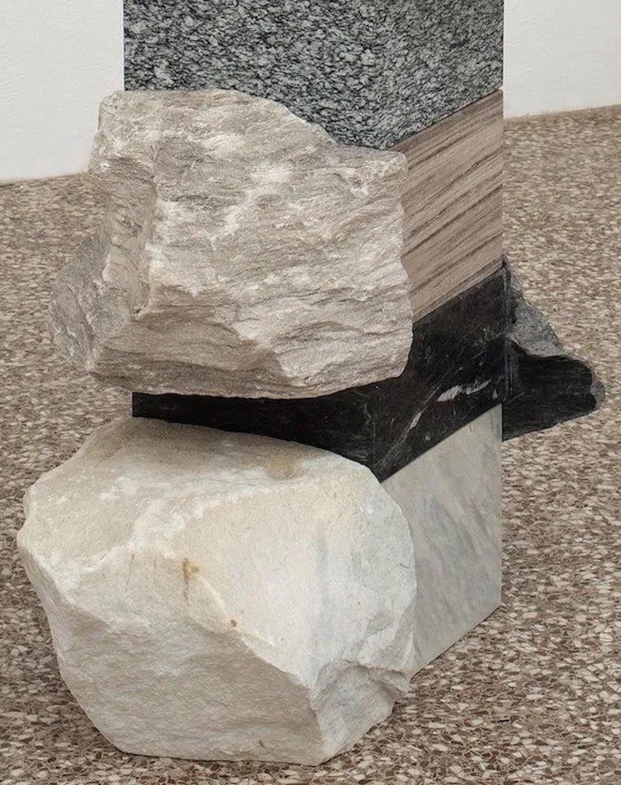 Senza titolo I, Palissandro di Mattia Bosco - Scultura astratta in pietra, marmo in vendita 4