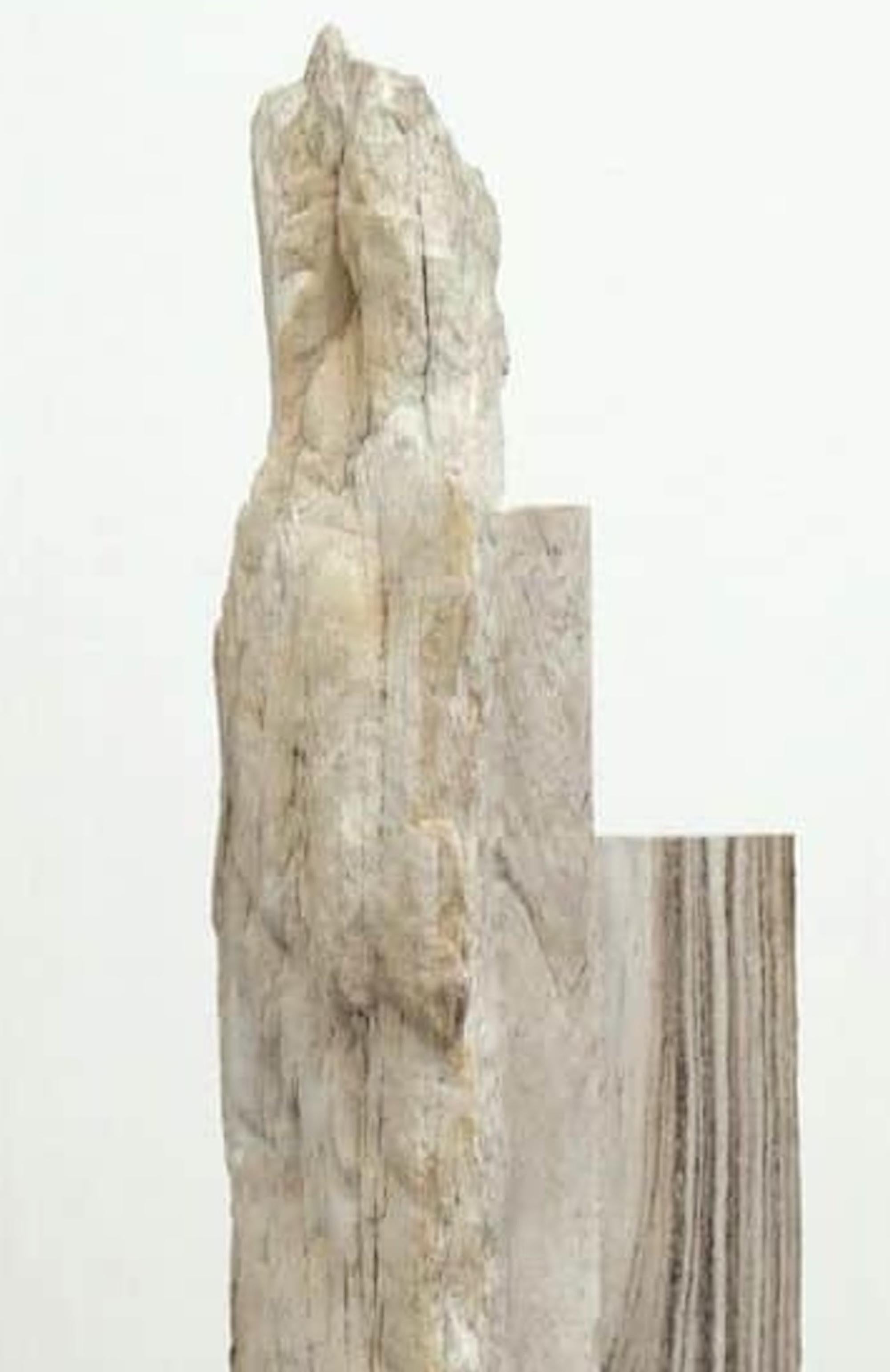 Senza titolo II, Palissandro di Mattia Bosco - Scultura astratta in pietra, marmo in vendita 8