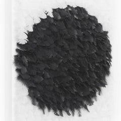 Il Cerchio Della Vita