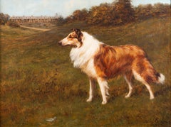 A collie standing in a landscape, a country house beyond