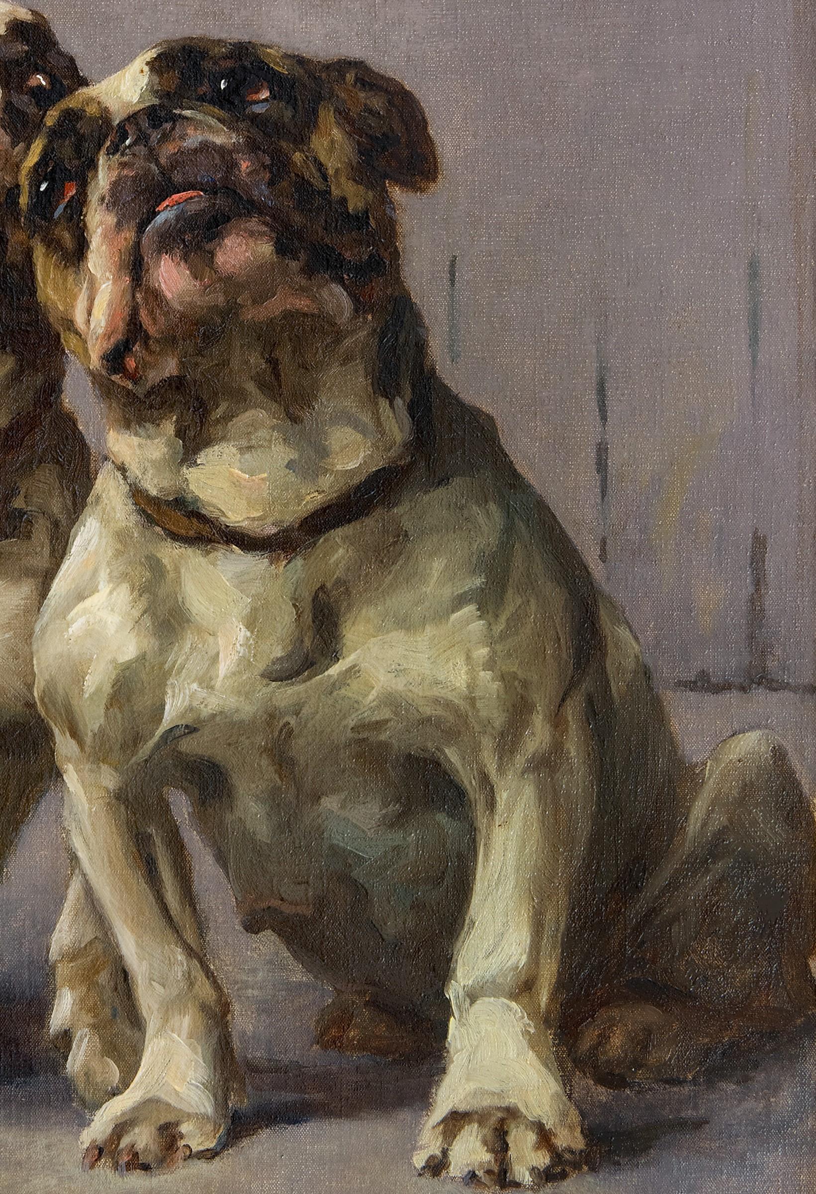 Dog Portrait: 