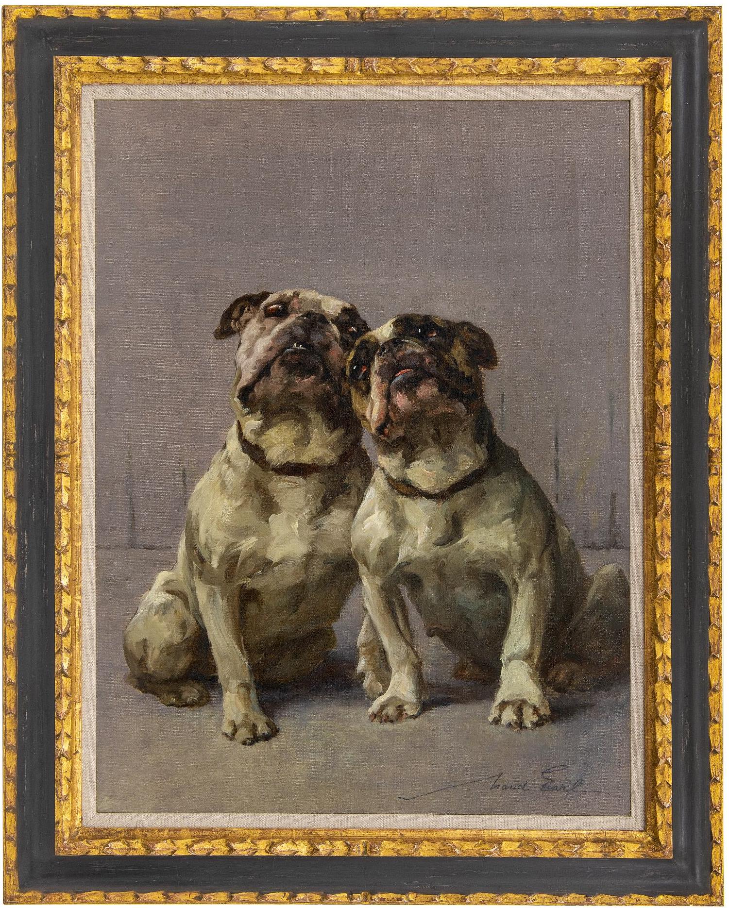 Dog Portrait: 