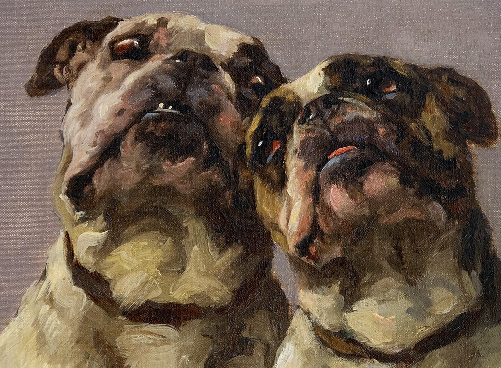 Dog Portrait: 