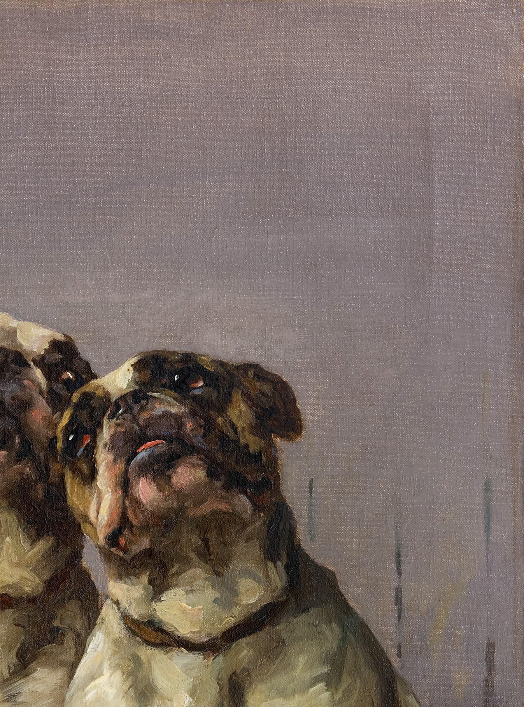 Dog Portrait: 