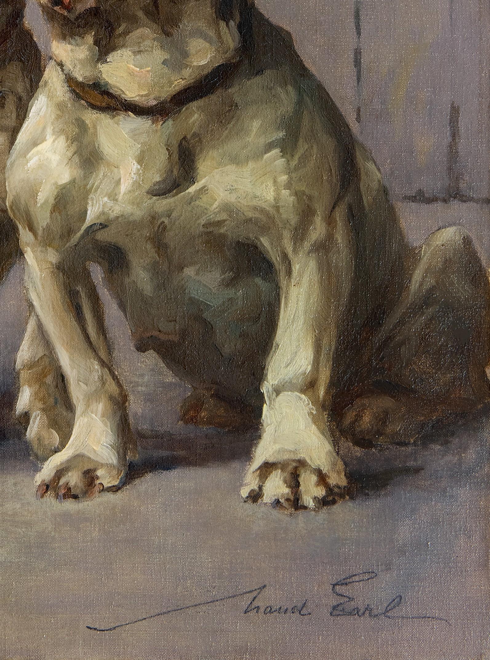 Dog Portrait: 