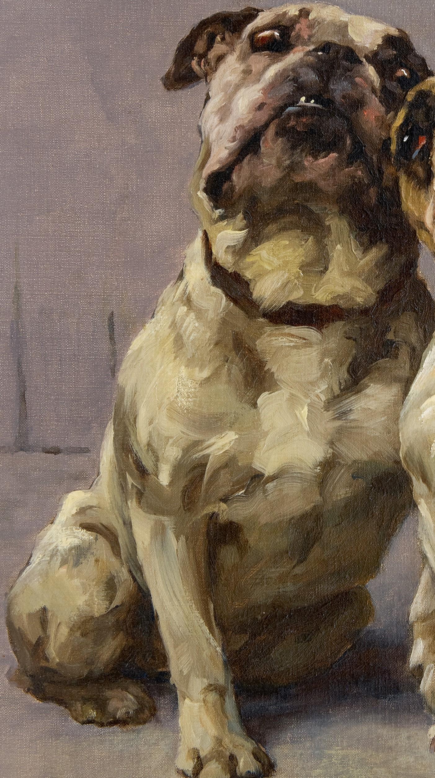 Dog Portrait: 