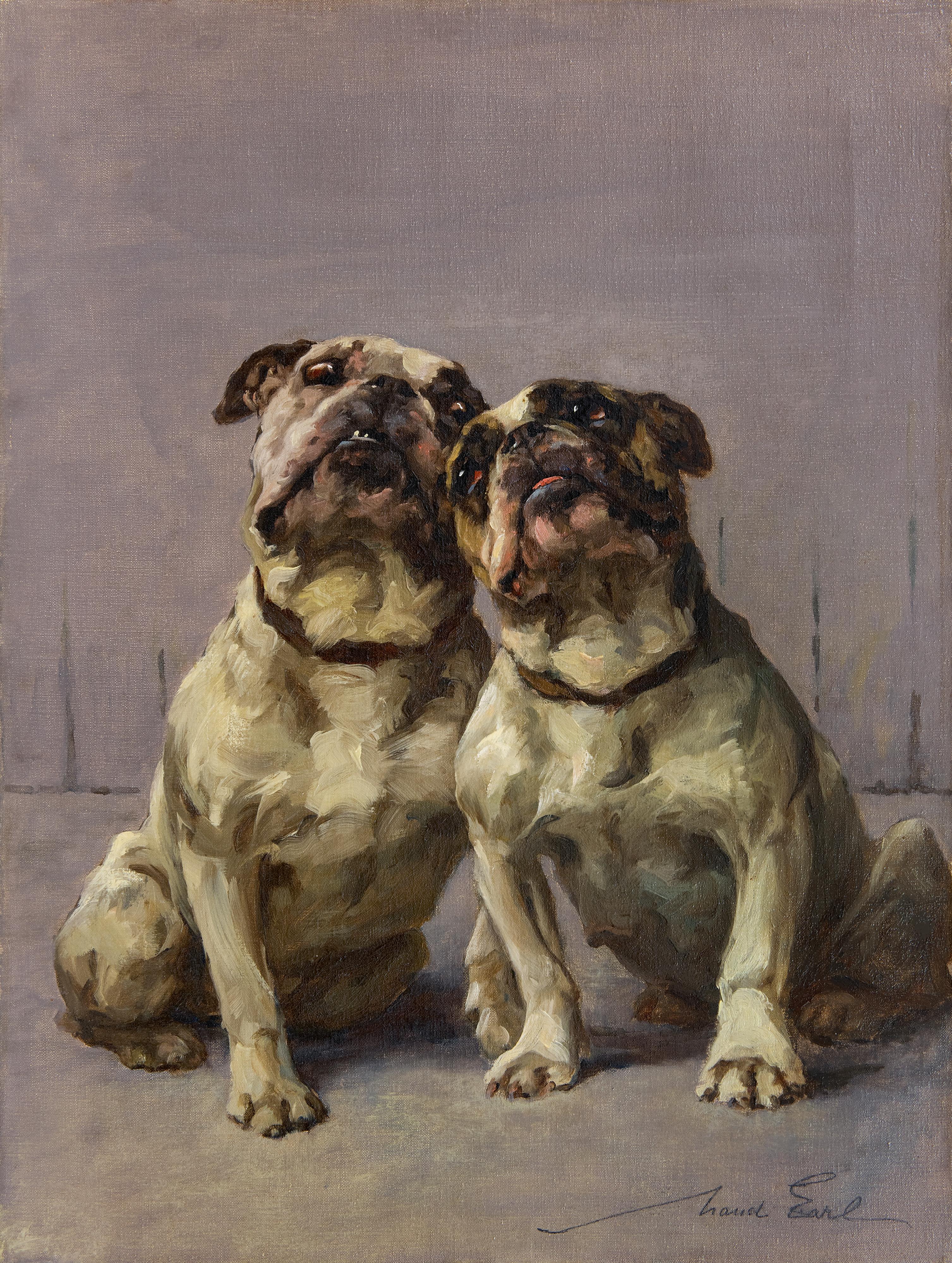 Dog Portrait 