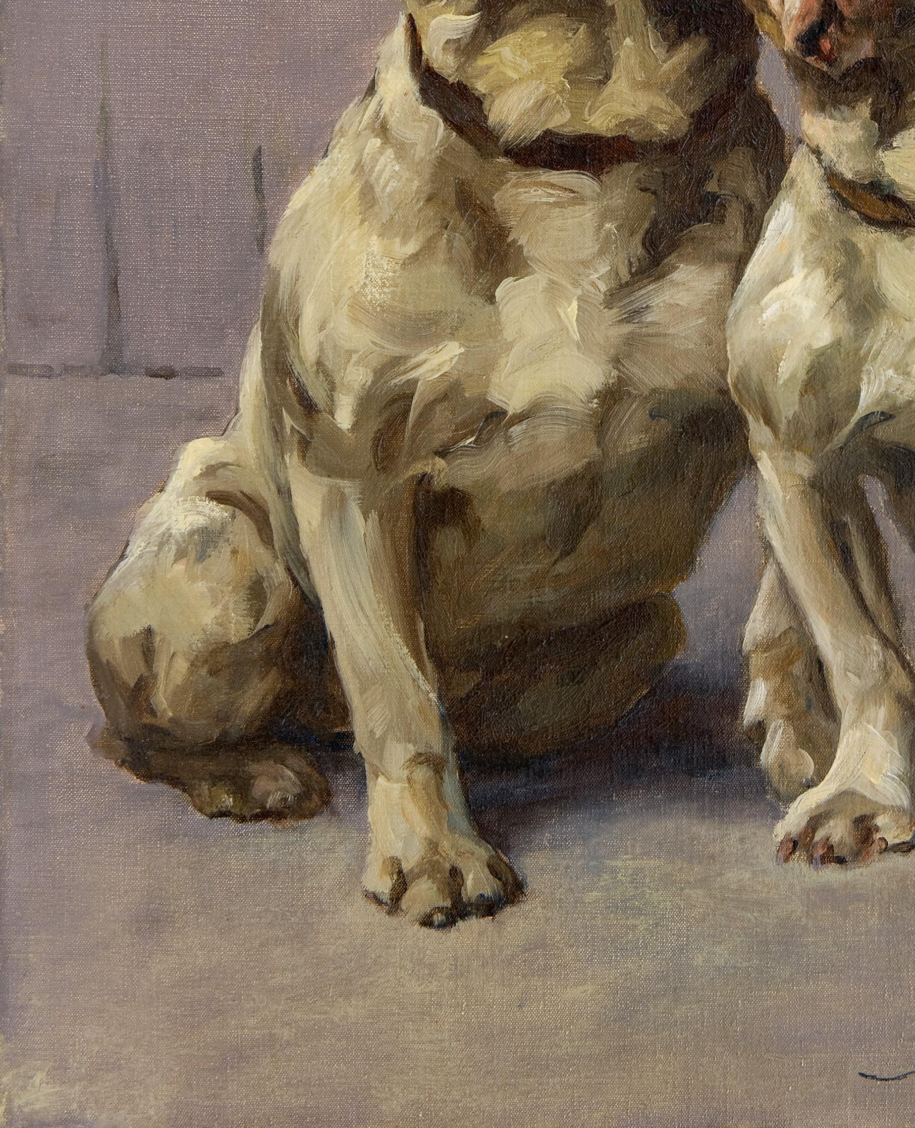 Dog Portrait 