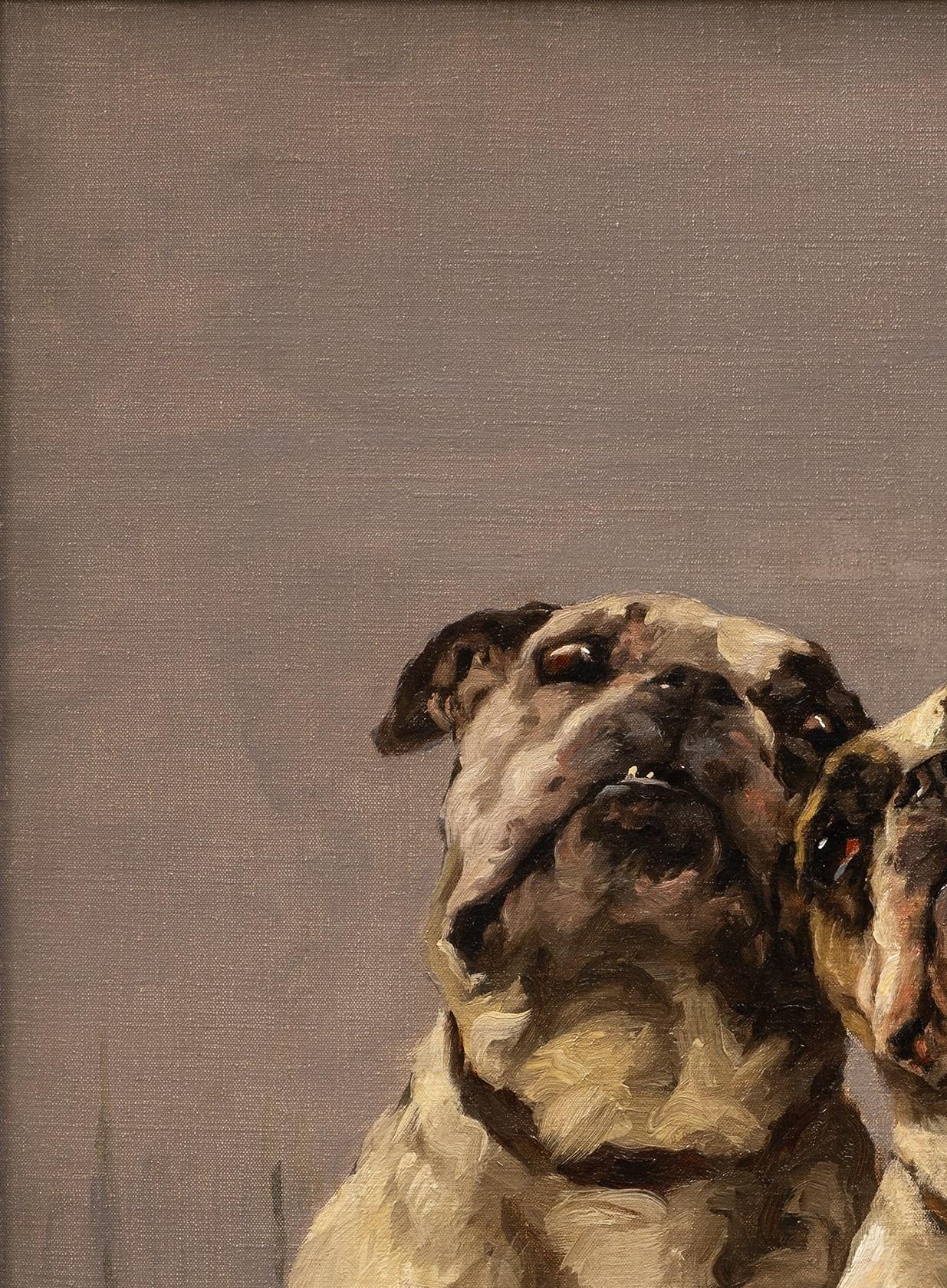 Portrait de chien 