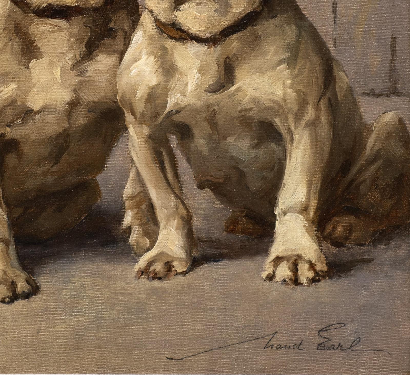Portrait de chien 