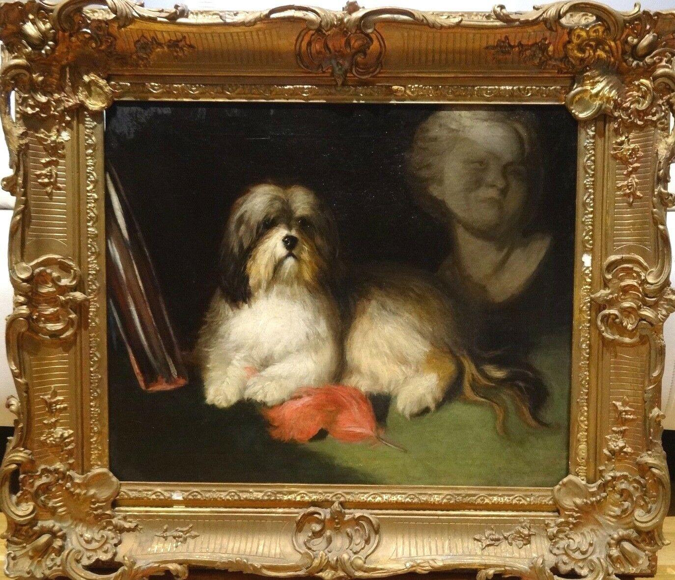 Maud Earl Portrait Painting - Portrait Of A Tibetan Terrier, 19th Century