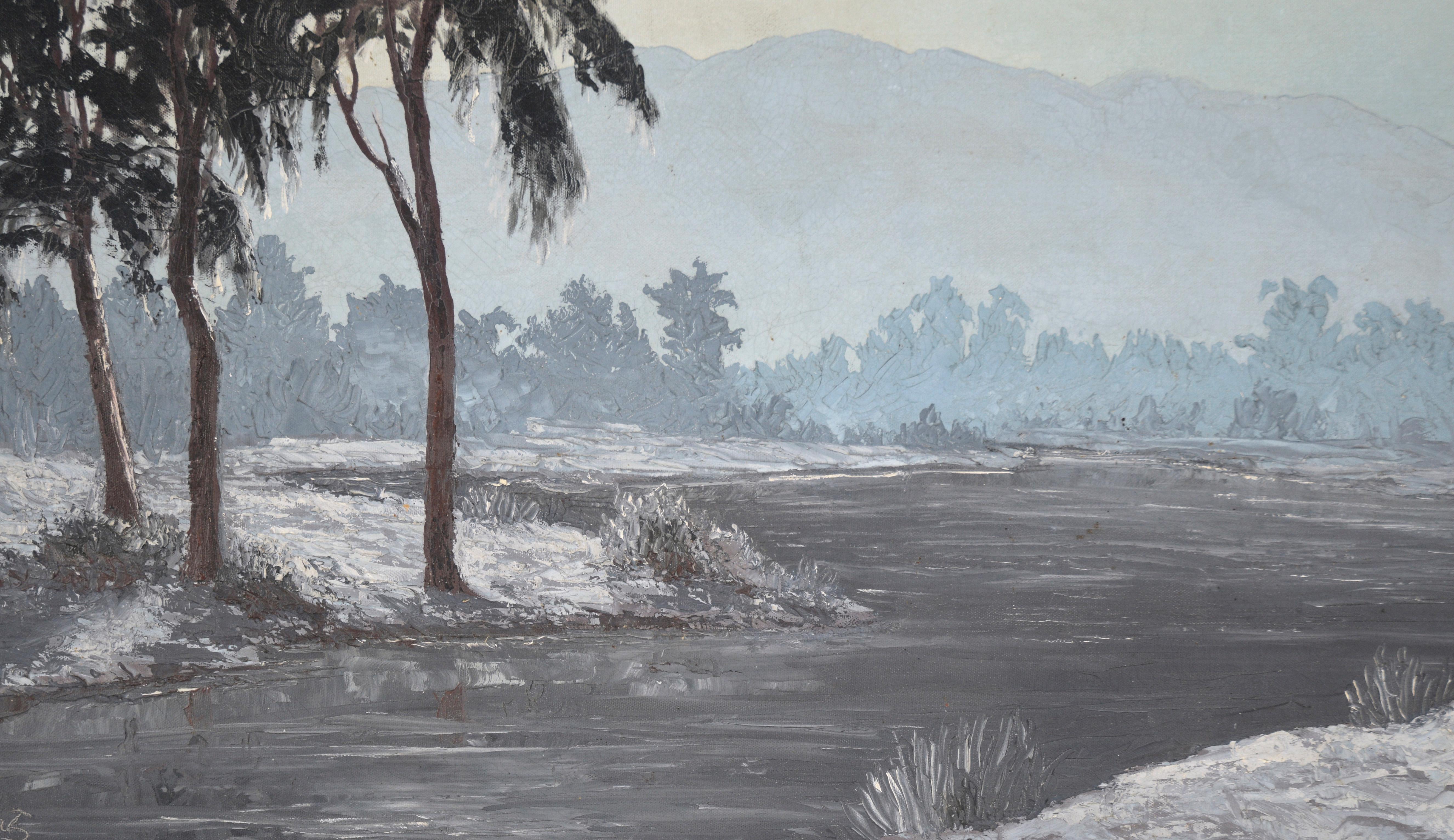 Paisaje monocromo del valle del río en venta 1