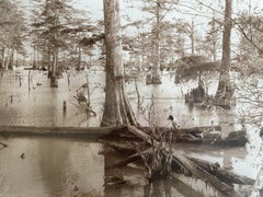 Dog on a Log (Sandy Bayou, Mississippi)