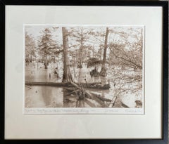 Vintage Dog on a Log (Sandy Bayou, Mississippi)