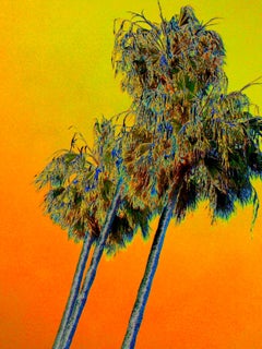 PALMS (orange)