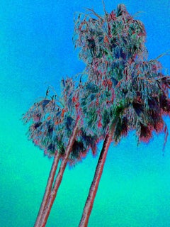 LA PALMS (azul) (Impresiones en aluminio solorizado por sublimación montadas sobre eurobastidor)