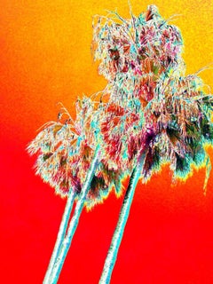 LA PALMS (RED) Dye Sublimation Solorized Aluminum Prints mounted on EuroFrame